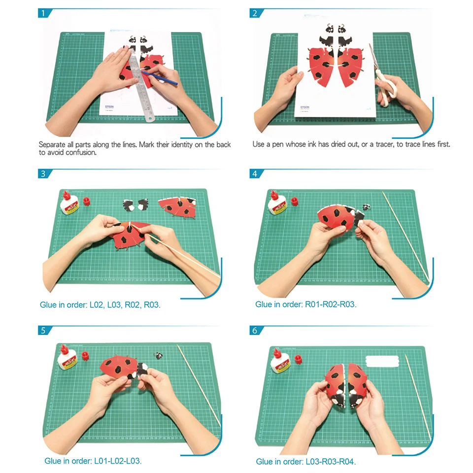Ladybug Insect Origami Art Min - Art Craft Ladybug recensione e prezzo
