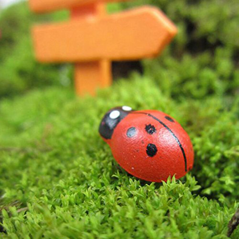 100pcs Self-adhesive Mini Refr - Art Craft Ladybug recensione e prezzo