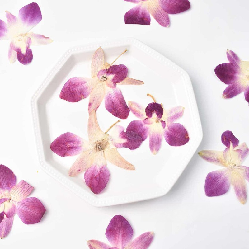 4pcs,Real Pressed Butterfly Or - Art Craft Butterfly recensione e prezzo