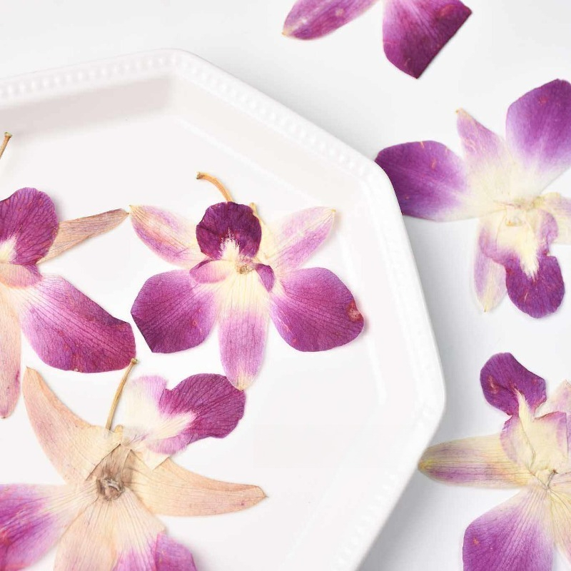 4pcs,Real Pressed Butterfly Or - Art Craft Butterfly recensione e prezzo