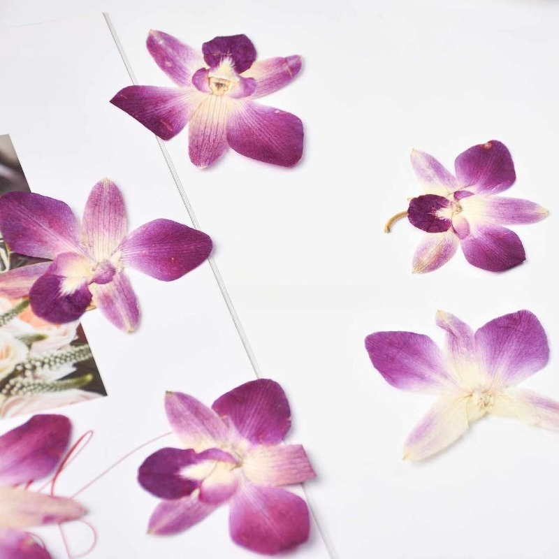 4pcs,Real Pressed Butterfly Or - Art Craft Butterfly recensione e prezzo