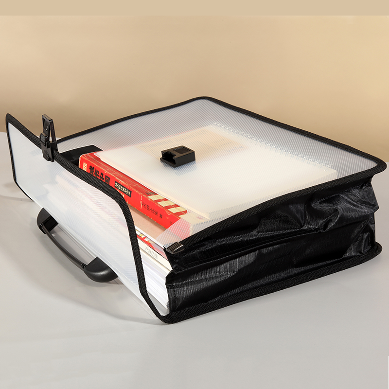 Portable Transparent Plastic B - Art Portfolio Bag recensione e prezzo