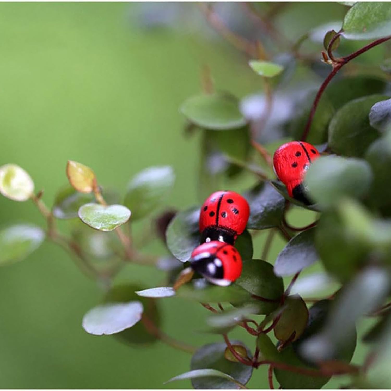 100-Pack Wooden Ladybug Sticke - Art Craft Ladybug recensione e prezzo