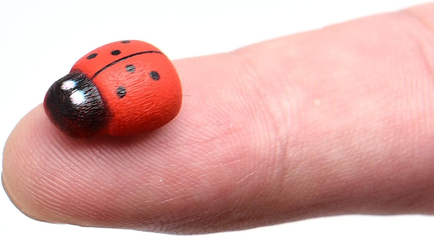 100-Pack Wooden Ladybug Sticke - Art Craft Ladybug recensione e prezzo