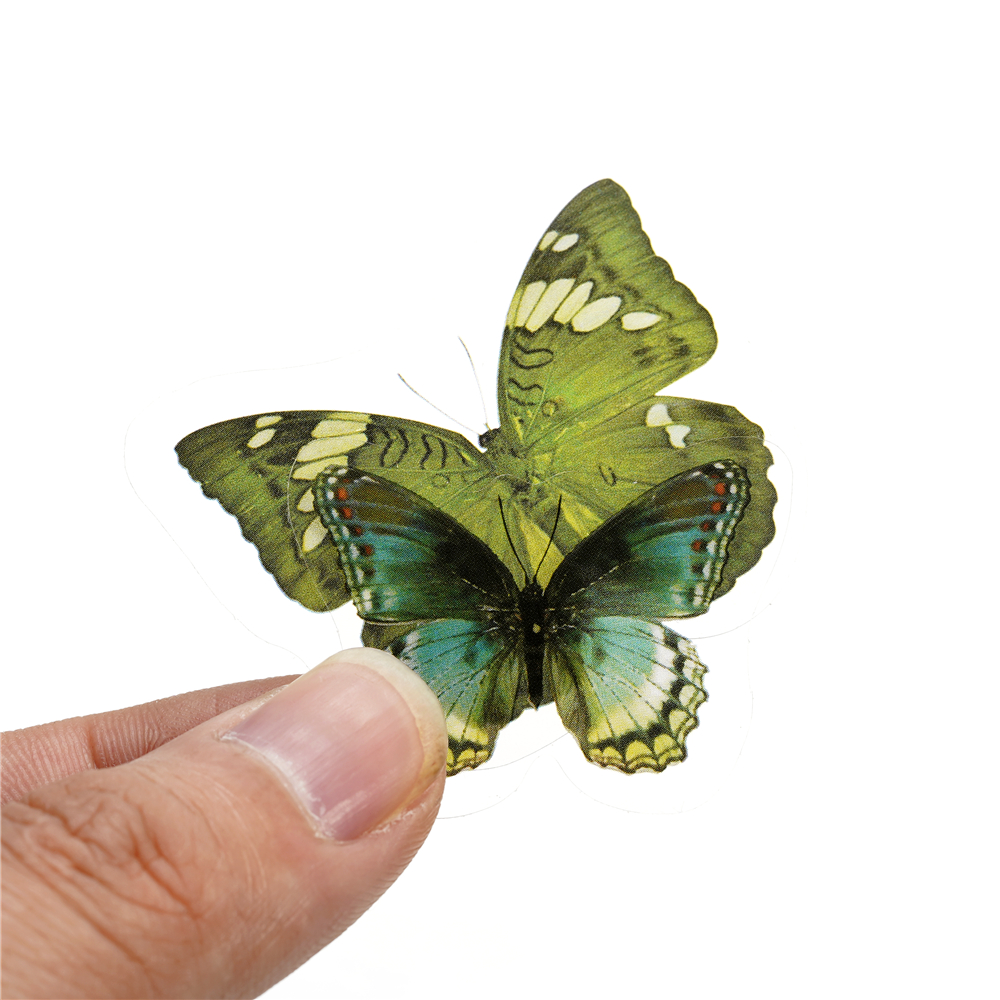 40pcs Colorful Butterfly Wings - Art Craft Butterfly recensione e prezzo
