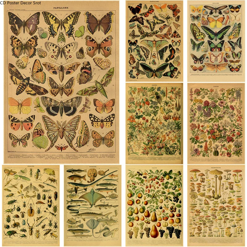 Butterfly Insect Flower Mushro - Art Craft Butterfly recensione e prezzo